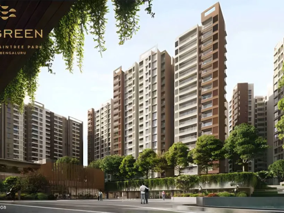 Prestige evergreen elevation